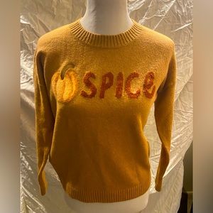 Loft Pumpkin Spice Sweater, XS
